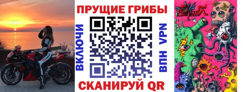 Псилоцибиновые грибы Psilocybine cubensis  Староминская 